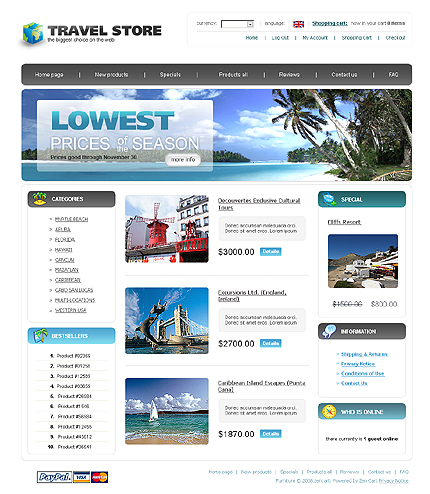 NetSuite Ecommerce Template 0022207-b (1)
